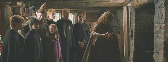 vichni Weasleyovi+Harry Potter